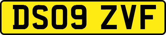DS09ZVF