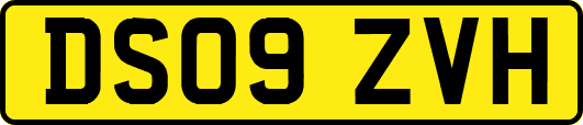 DS09ZVH