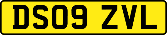 DS09ZVL