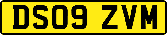 DS09ZVM