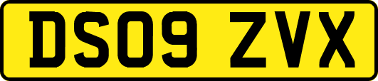 DS09ZVX
