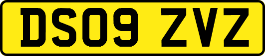 DS09ZVZ