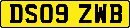DS09ZWB
