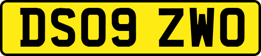 DS09ZWO