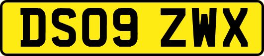 DS09ZWX
