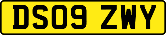 DS09ZWY