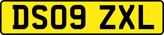 DS09ZXL