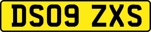 DS09ZXS