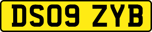 DS09ZYB