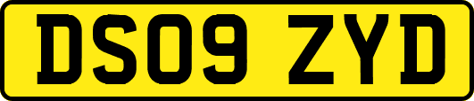 DS09ZYD