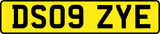 DS09ZYE