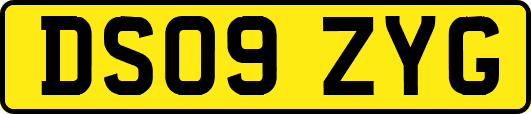 DS09ZYG