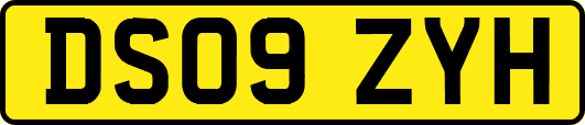 DS09ZYH