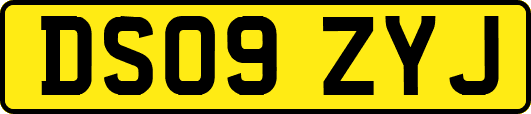 DS09ZYJ