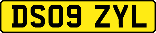 DS09ZYL