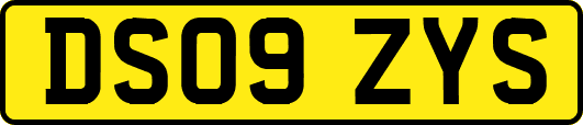 DS09ZYS