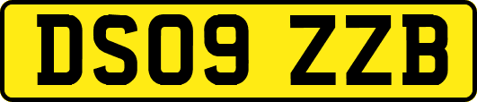 DS09ZZB