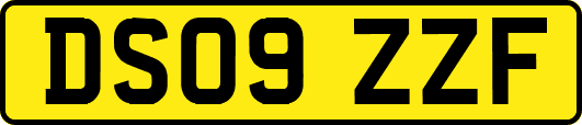 DS09ZZF