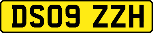 DS09ZZH