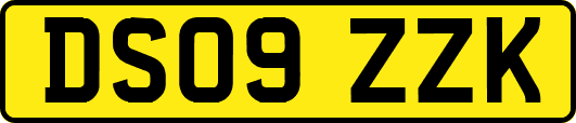 DS09ZZK