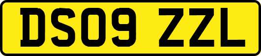 DS09ZZL