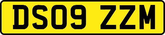 DS09ZZM