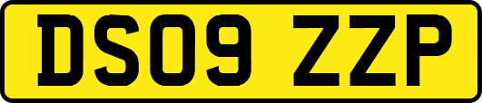 DS09ZZP