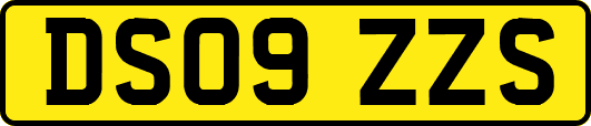 DS09ZZS