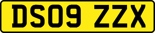 DS09ZZX