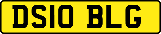 DS10BLG