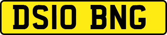 DS10BNG