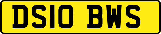 DS10BWS