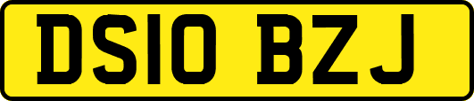 DS10BZJ