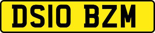 DS10BZM