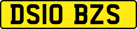 DS10BZS