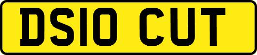DS10CUT