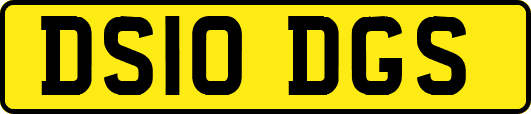 DS10DGS