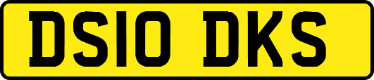DS10DKS