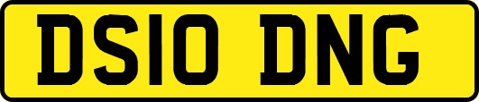 DS10DNG