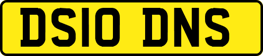 DS10DNS