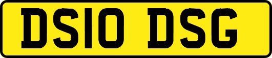 DS10DSG