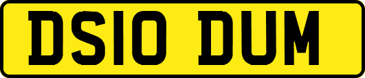 DS10DUM