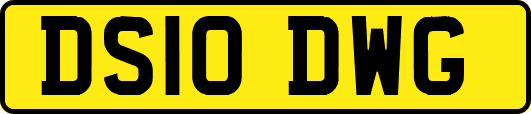 DS10DWG