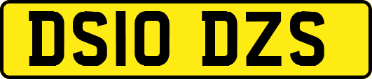 DS10DZS