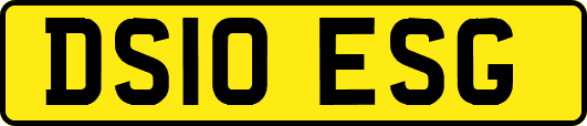DS10ESG