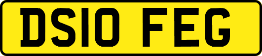 DS10FEG