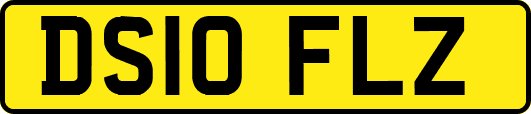 DS10FLZ