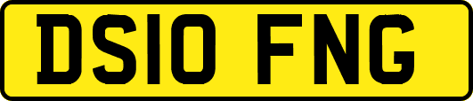 DS10FNG