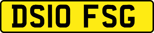 DS10FSG
