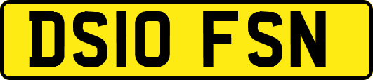 DS10FSN